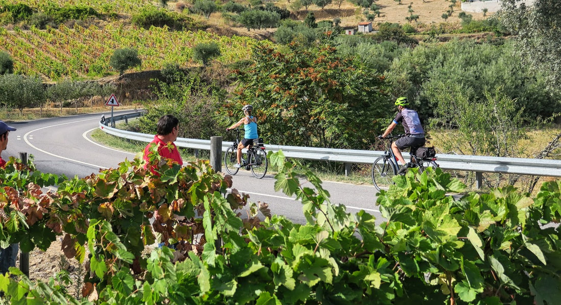 Couple cycling through vineyards in the Douro region of Portugal